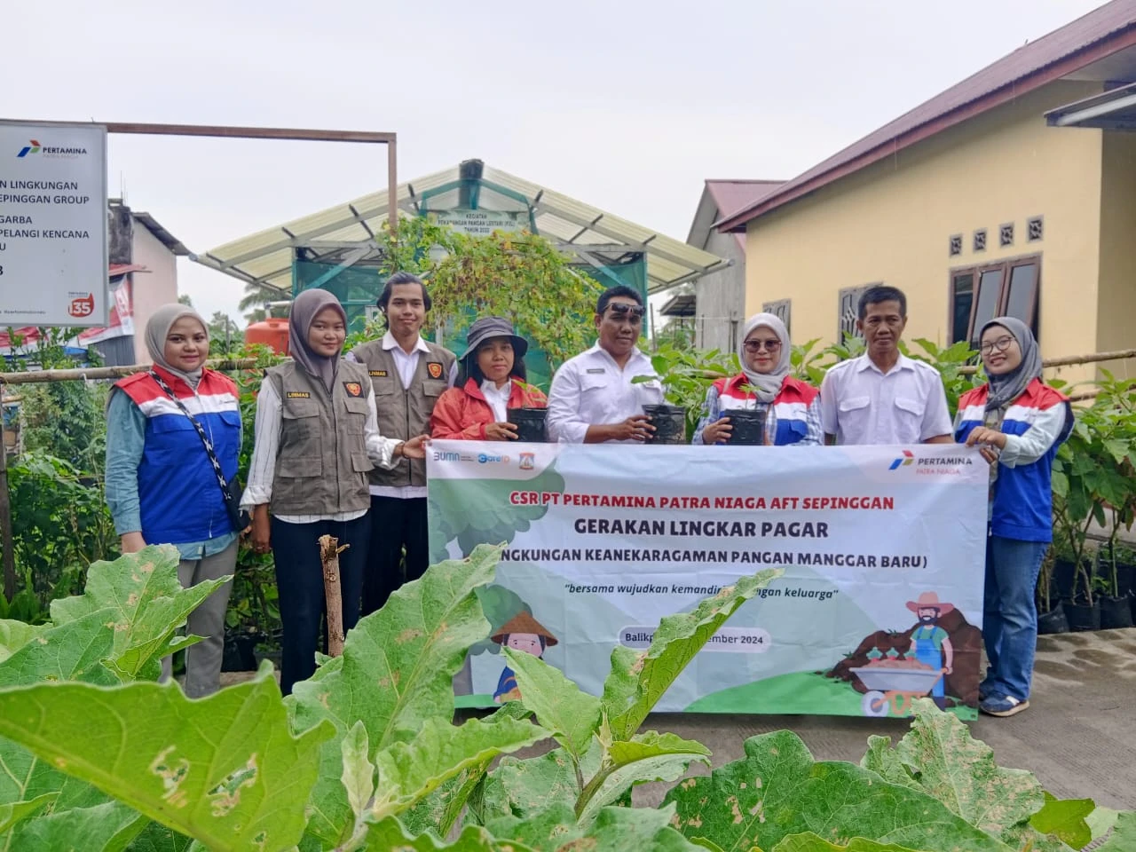 CSR Pertamina Bantu Bibit ke Kelompok Wanita Tani Manggar Baru